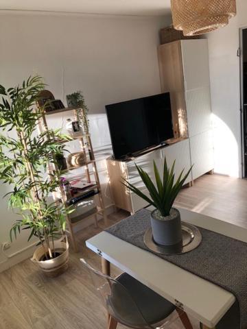 Апартаменты Studio Cosy Carnon-Plage - Clim Et Wifi Proche Montpellier Могио Экстерьер фото